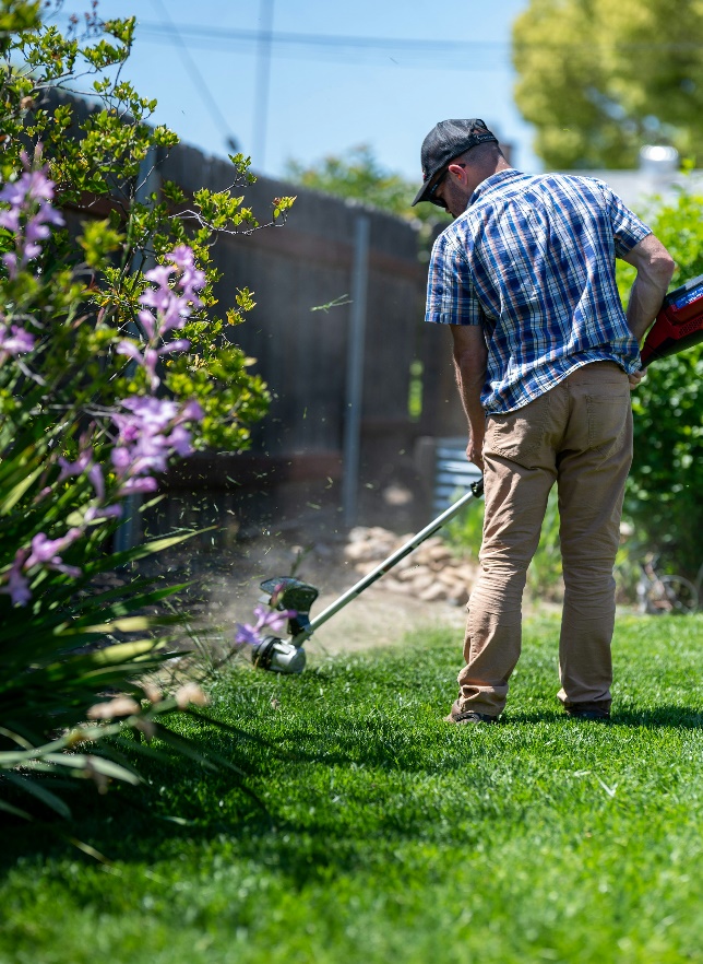lawn mower gardener