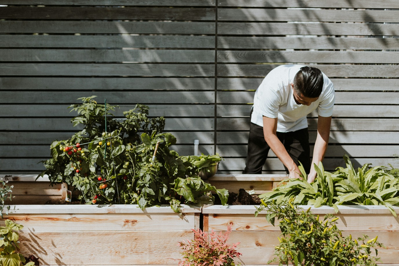 man gardening outdoors