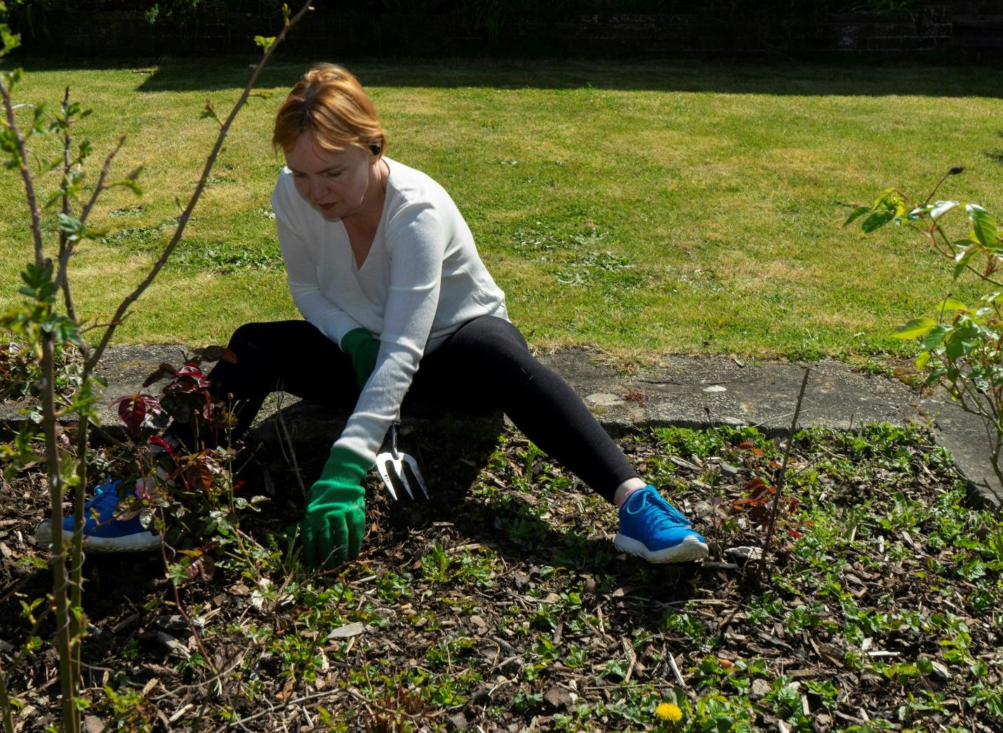 expert lawn care