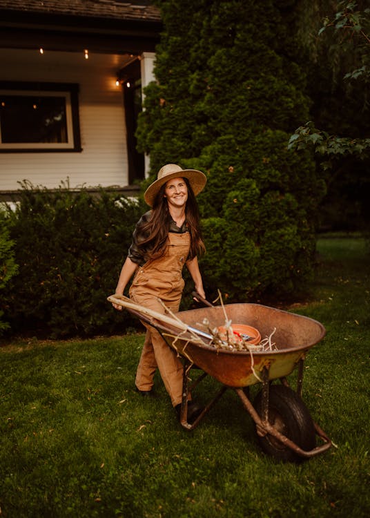 garden wheelbarrow