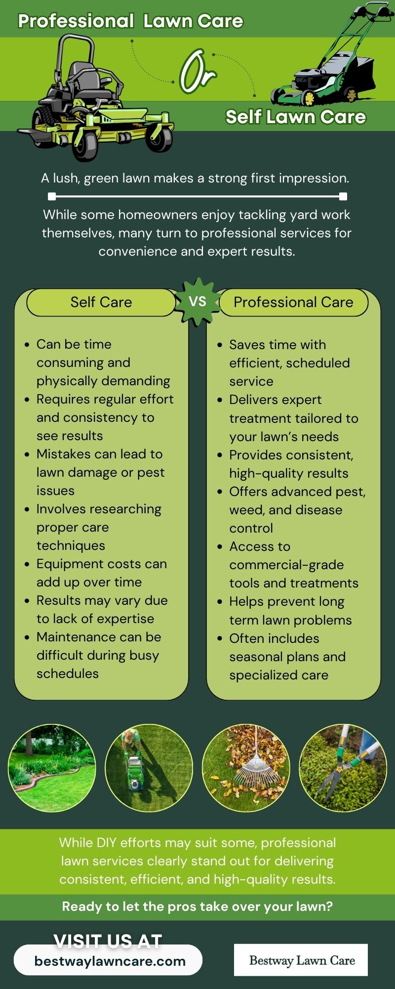 Professional lawn care vs self lawn care
