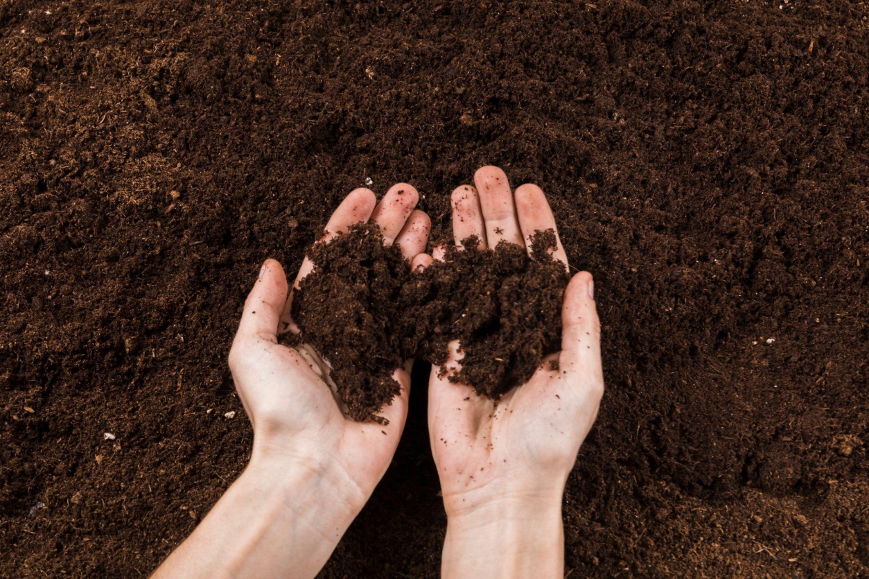 A person holding wet soil in hand