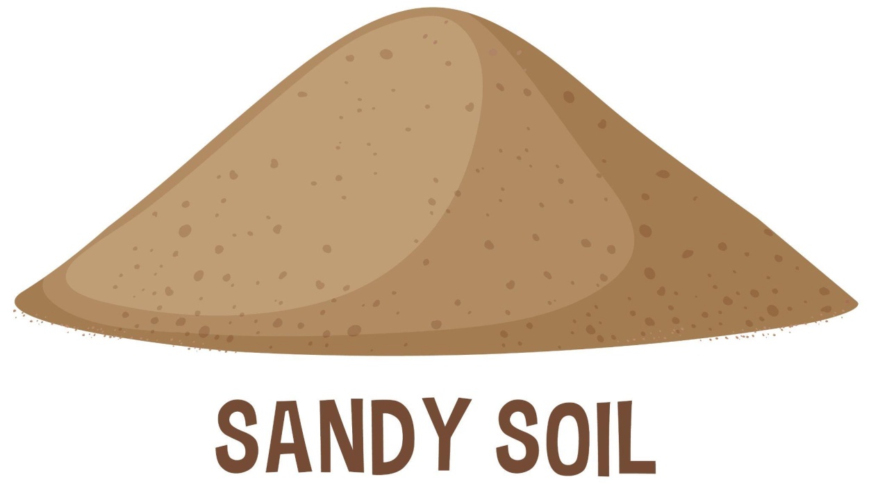An illustration showing sandy soil 