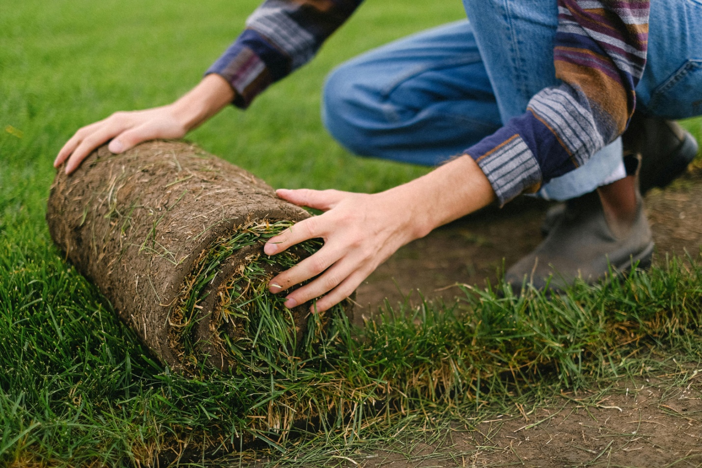 a person unfolding a grass roll on a lawn